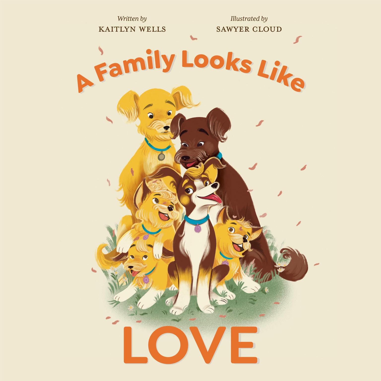 A Family Looks Like Love Audiobook, by Kaitlyn Wells