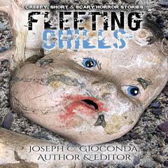 Fleeting Chills: Weird, Creepy, Short and Scary Horror Stories Audiobook, by Amy Yun Yu
