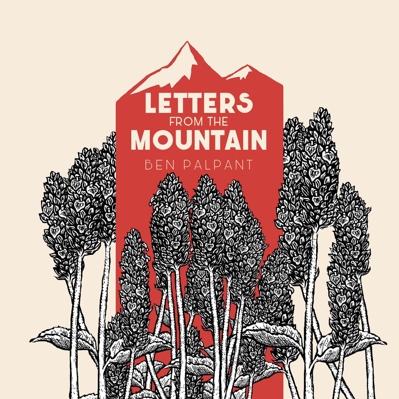 Letters From the Mountain Audiobook, by Ben Palpant