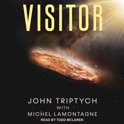 Visitor Audiobook, by John Triptych