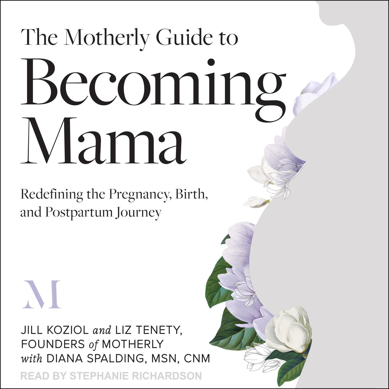 The Motherly Guide to Becoming Mama: Redefining the Pregnancy, Birth, and Postpartum Journey Audiobook, by Jill Koziol