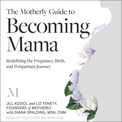 The Motherly Guide to Becoming Mama: Redefining the Pregnancy, Birth, and Postpartum Journey Audiobook, by Jill Koziol