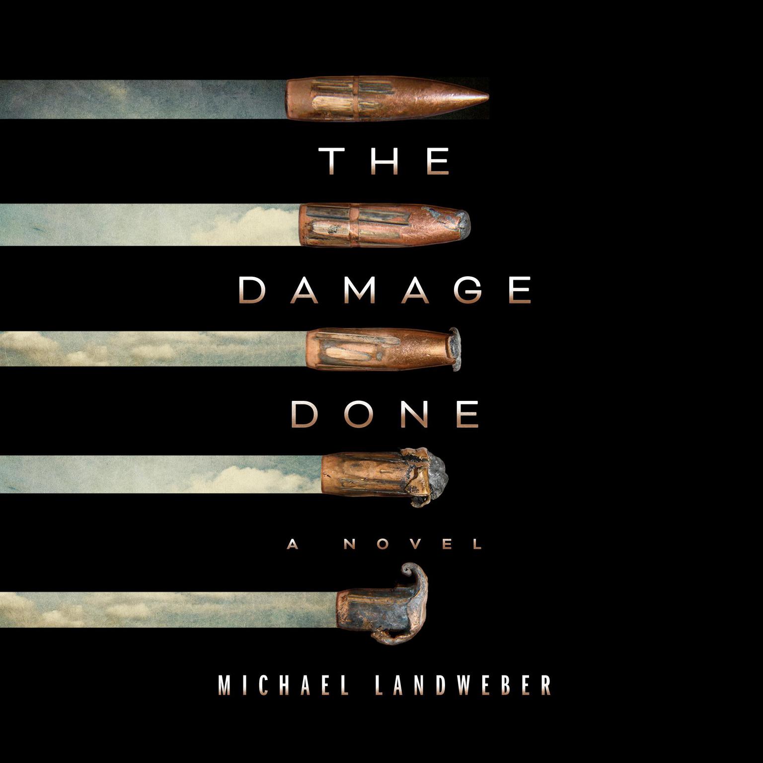 The Damage Done Audiobook, by Michael Landweber