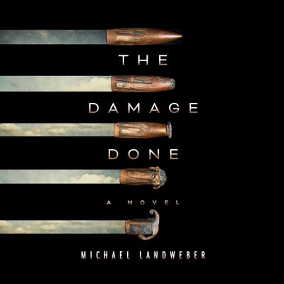 The Damage Done Audiobook, by Michael Landweber