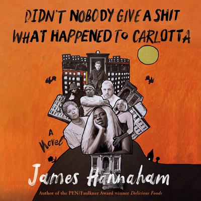 Didnt Nobody Give a Shit What Happened to Carlotta Audiobook, by James Hannaham