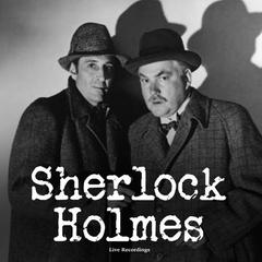 Sherlock Holmes Audiobook, by Made for Success