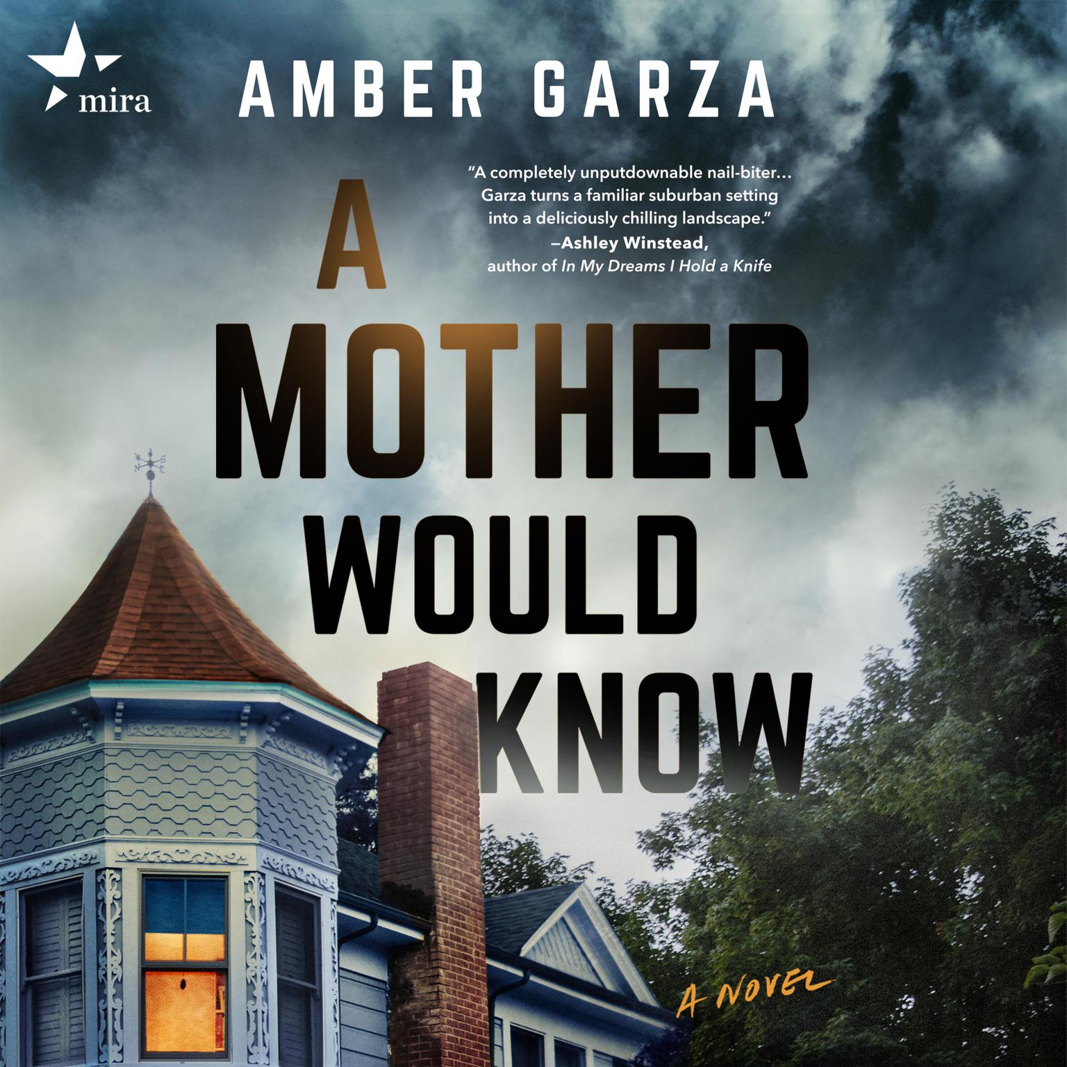 A Mother Would Know Audiobook, by Amber Garza