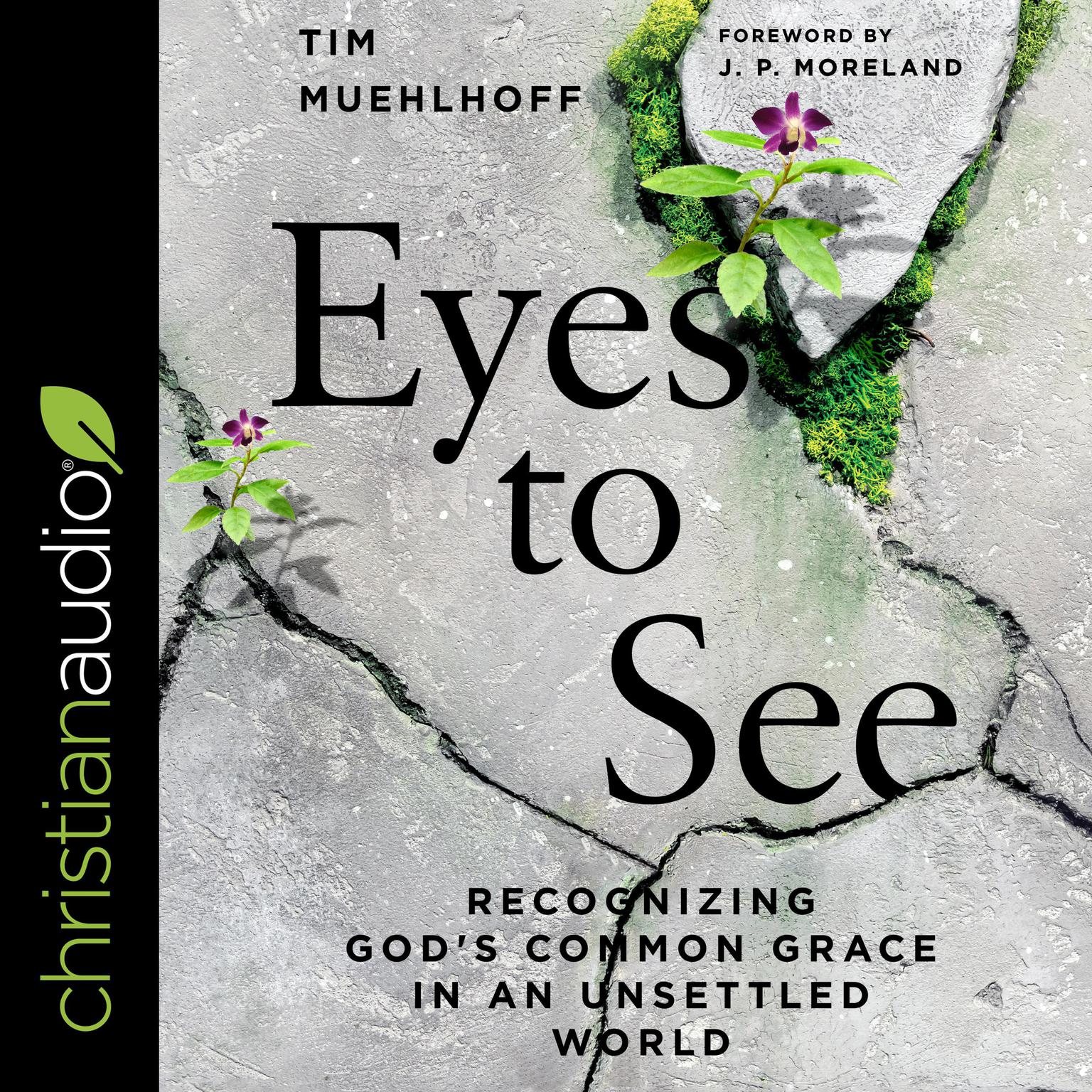 Eyes to See: Recognizing Gods Common Grace in an Unsettled World Audiobook, by Tim Muehlhoff