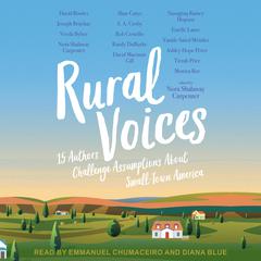 Rural Voices: 15 Authors Challenge Assumptions About Small-Town America Audiobook, by Author Info Added Soon