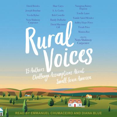 Rural Voices: 15 Authors Challenge Assumptions About Small-Town America Audiobook, by Author Info Added Soon