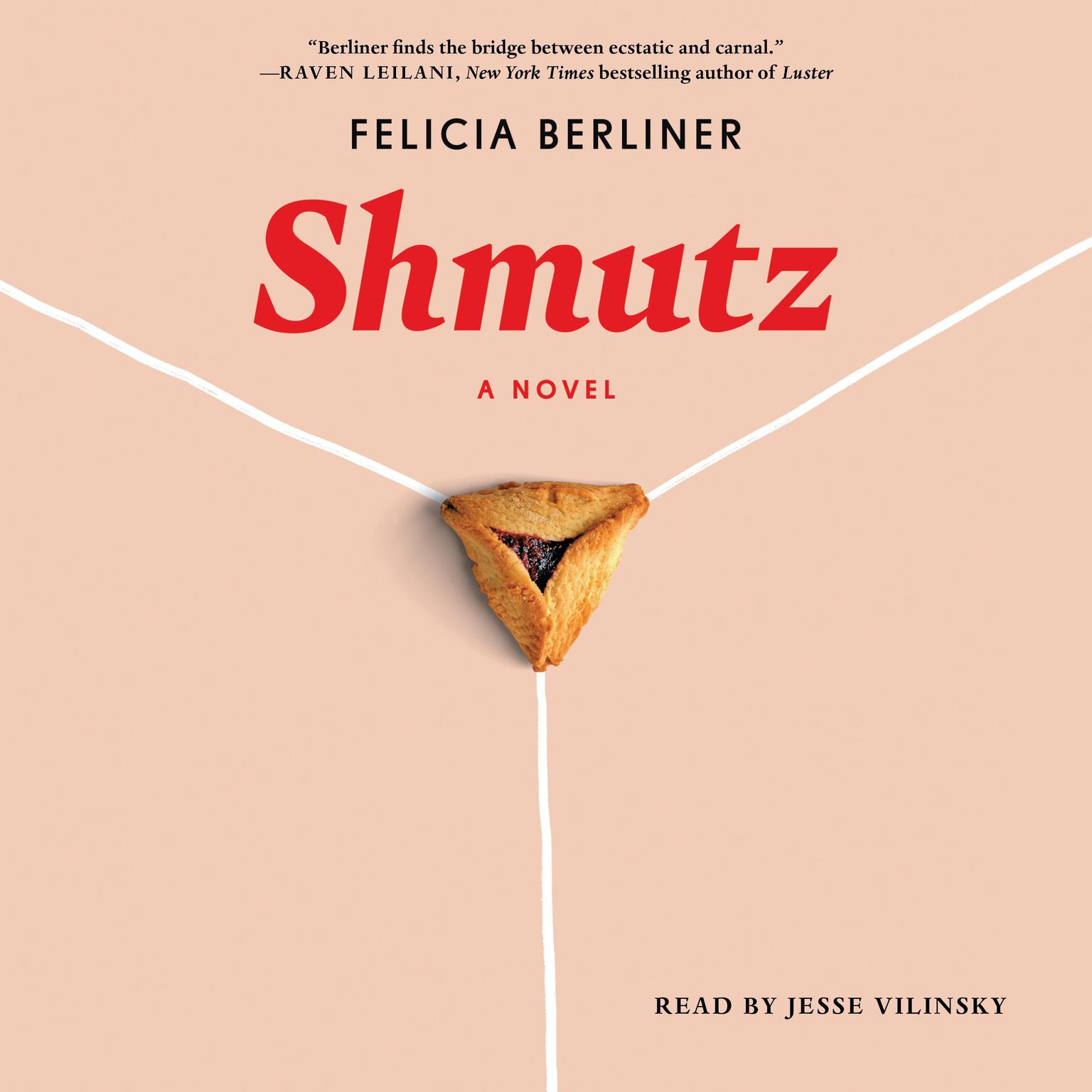 Shmutz: A Novel Audiobook, by Felicia Berliner