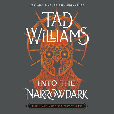 Into the Narrowdark Audiobook, by Tad Williams
