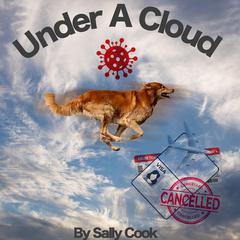 Under A Cloud Audiobook, by Sally Cook