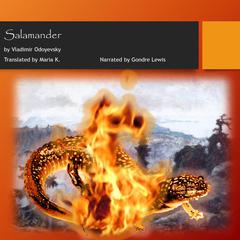 Salamander Audiobook, by Vladimir Odoyevsky