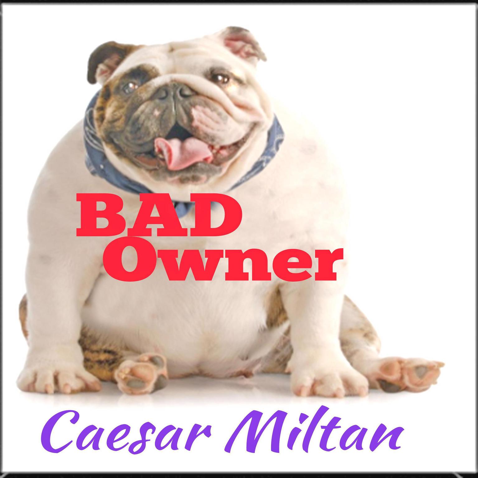 Bad Owner Audiobook, by Caesar Miltan