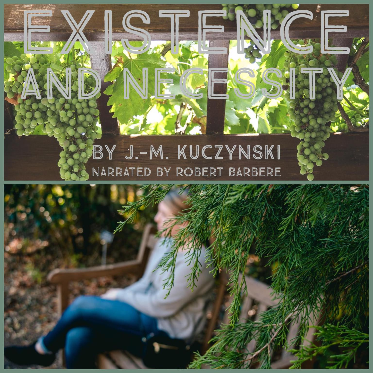 Existence and Necessity Audiobook, by J. M. Kuczynski