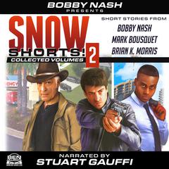 Snow Shorts, Vol. 2 Audiobook, by Bobby Nash