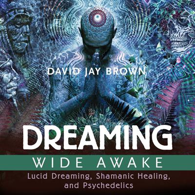 Dreaming Wide Awake: Lucid Dreaming, Shamanic Healing, and Psychedelics Audiobook, by David Jay Brown