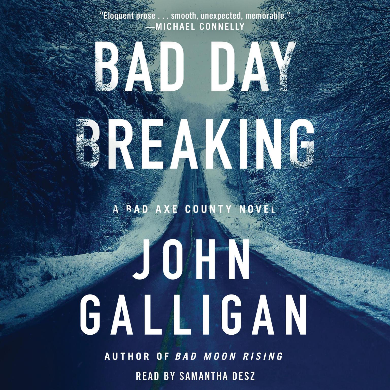 Bad Day Breaking: A Bad Axe County Novel Audiobook, by John Galligan
