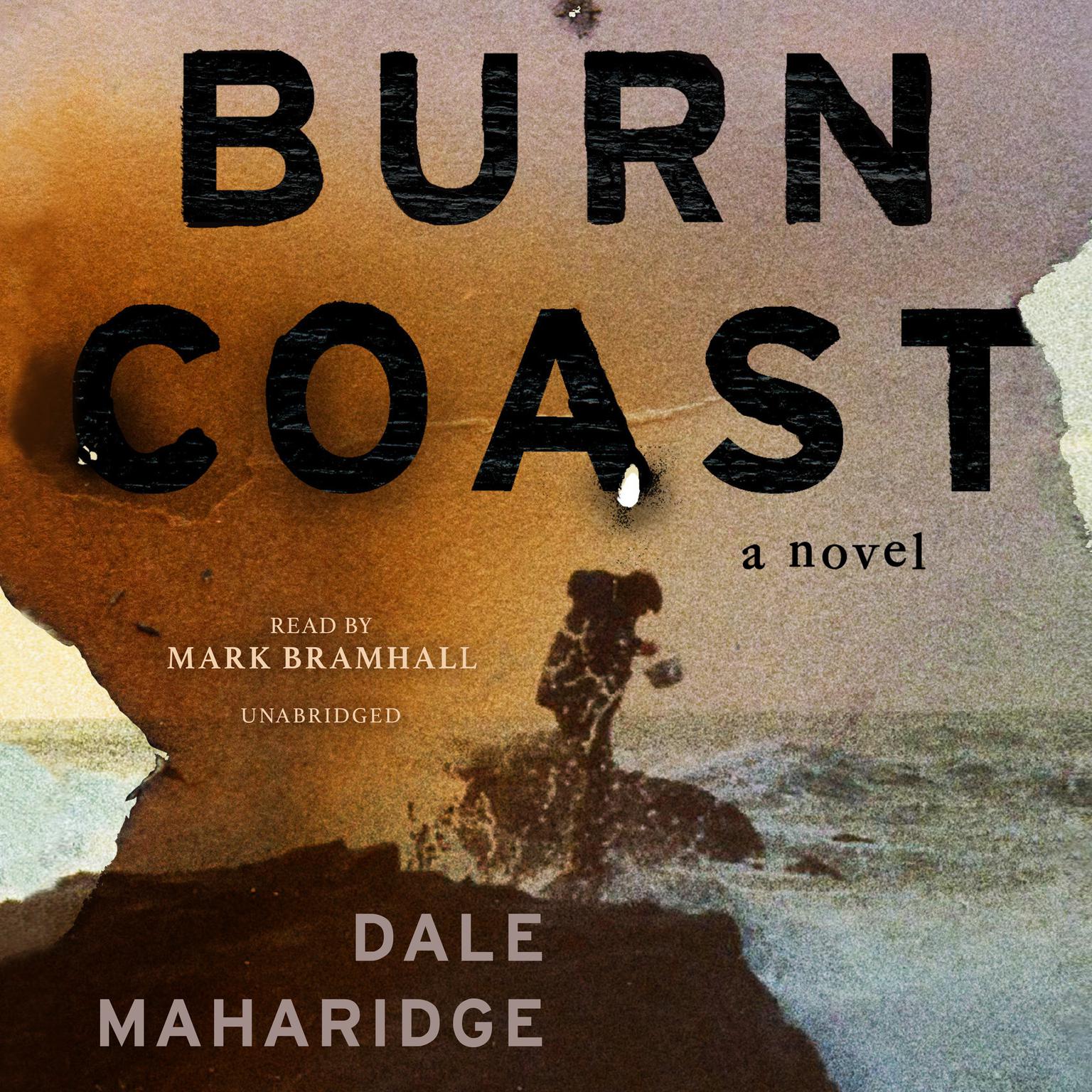 Burn Coast: A Novel Audiobook, by Dale Maharidge