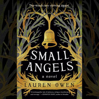 Small Angels: A Novel Audiobook, by 