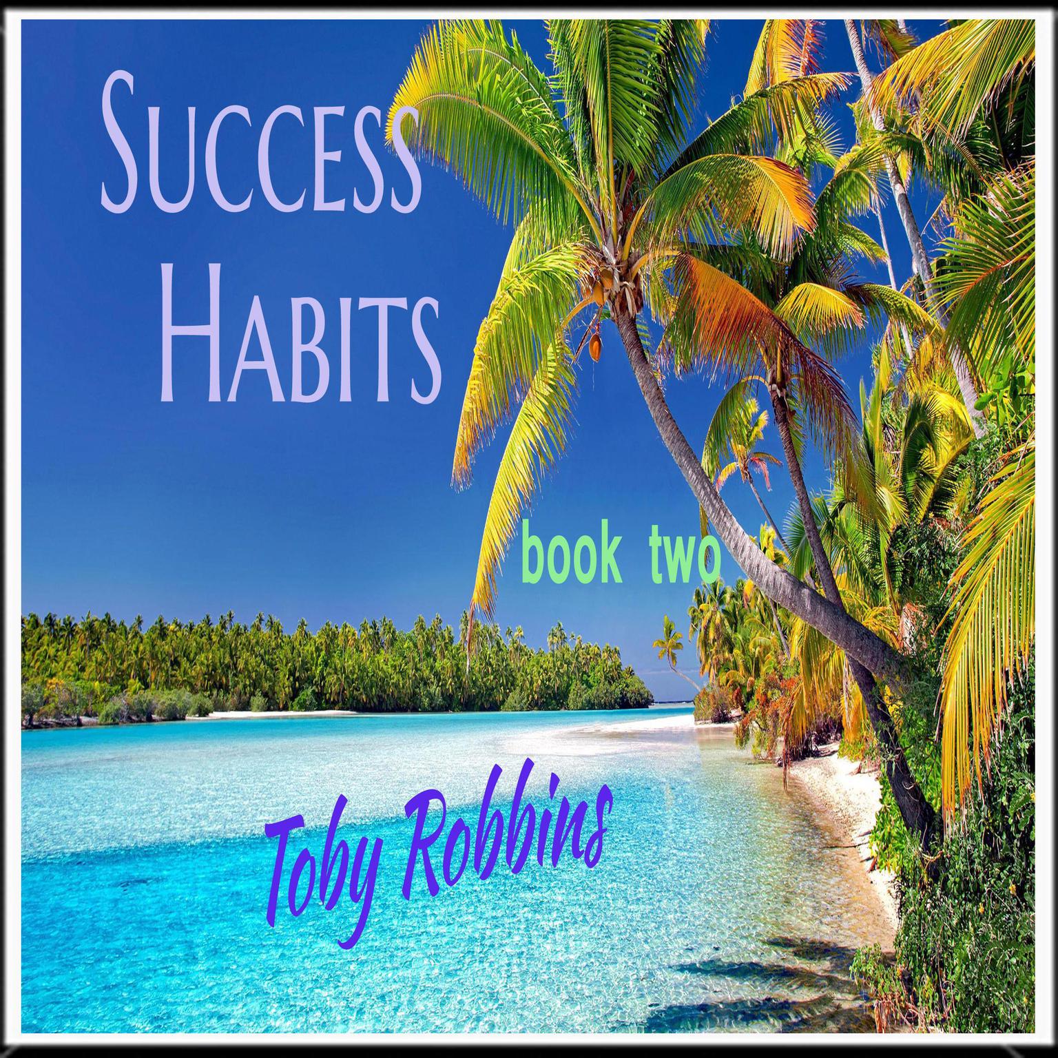 Success Habits: Book Two Audiobook, by Toby Robbins