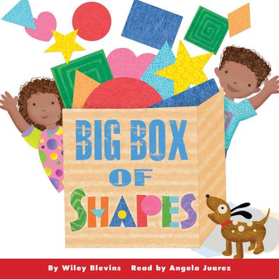 Big Box of Shapes Audiobook, by Wiley Blevins