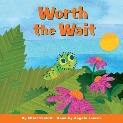 Growing Up Stories Collection: Worth the Wait Audiobook, by Elliot Kreloff