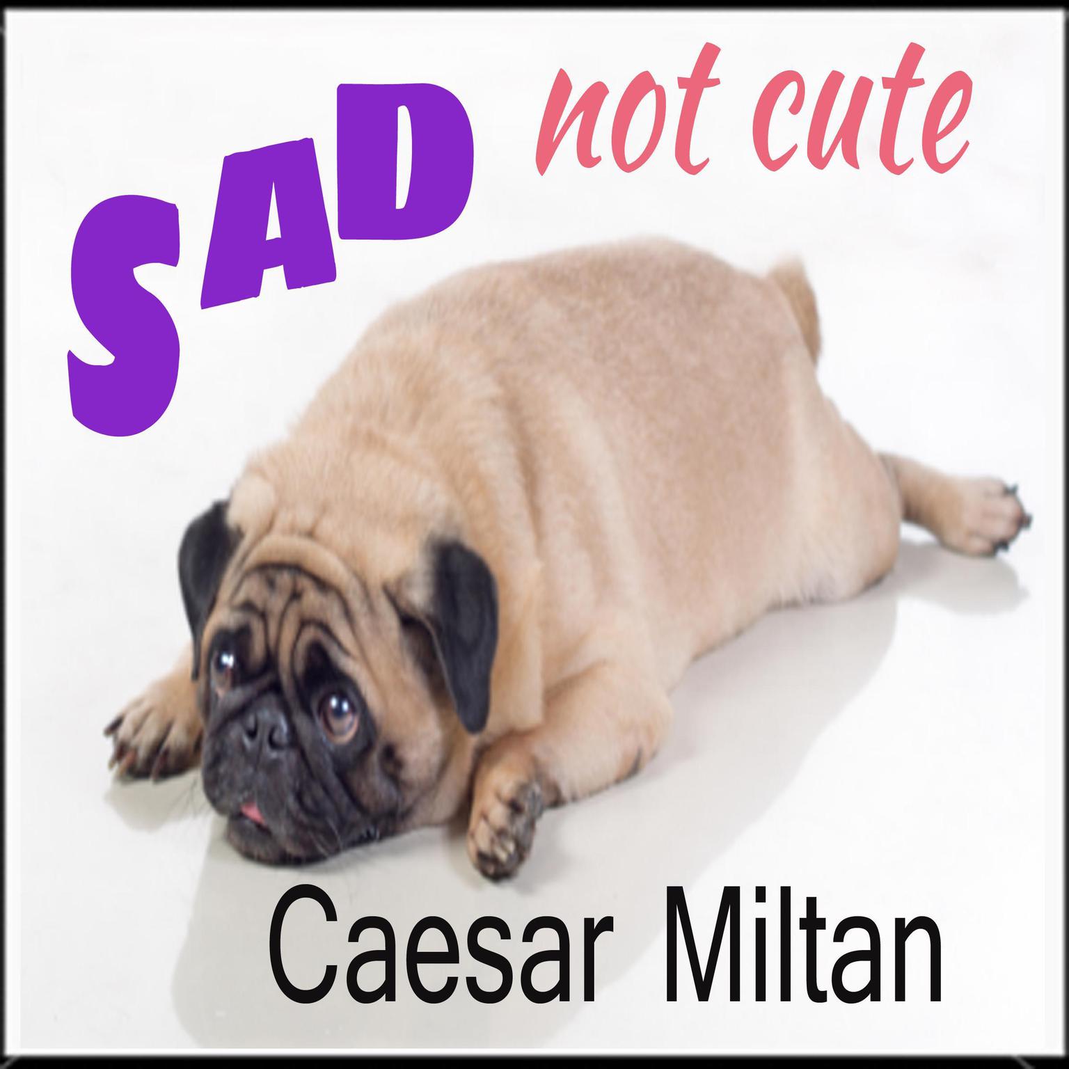 Sad - not cute Audiobook, by Caesar Miltan