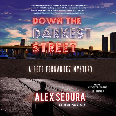 Down the Darkest Street: A Pete Fernandez Mystery Audiobook, by Alex Segura