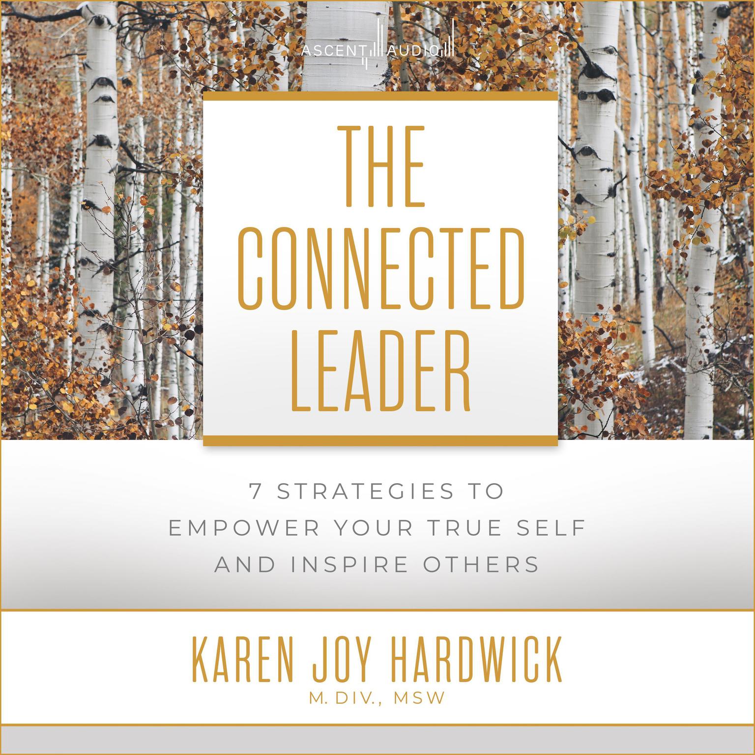 The Connected Leader: 7 Strategies to Empower Your True Self and Inspire Others Audiobook, by Karen Joy Hardwick, MDiv, MSW