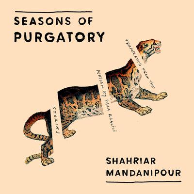 Seasons of Purgatory Audiobook, by Shahriar Mandanipour