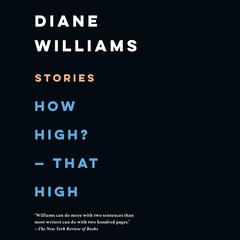 How High? - That High: Stories Audiobook, by Diane Williams
