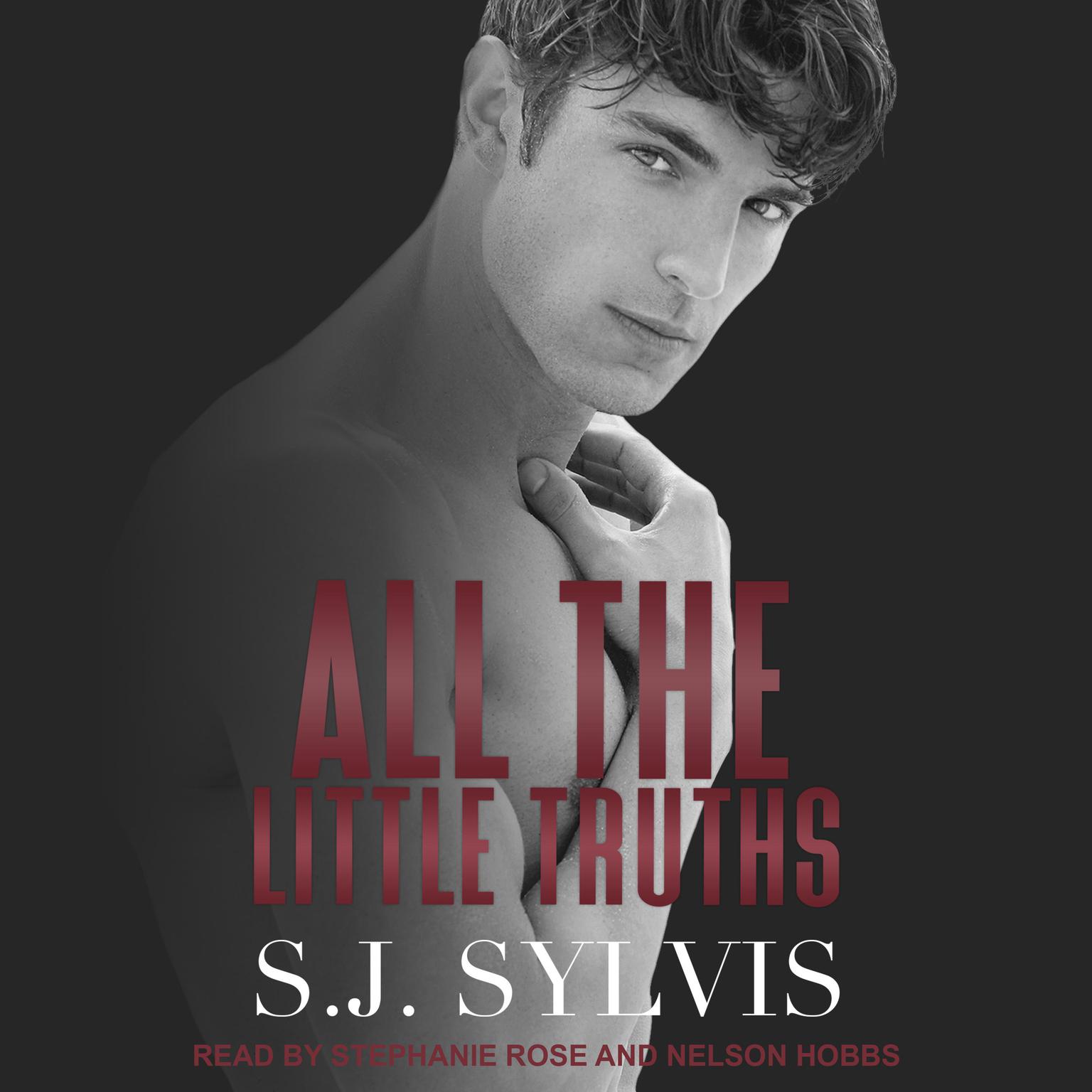 All the Little Truths Audiobook, by S.J. Sylvis
