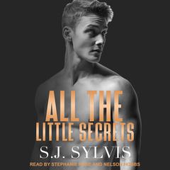 All the Little Secrets Audiobook, by S.J. Sylvis