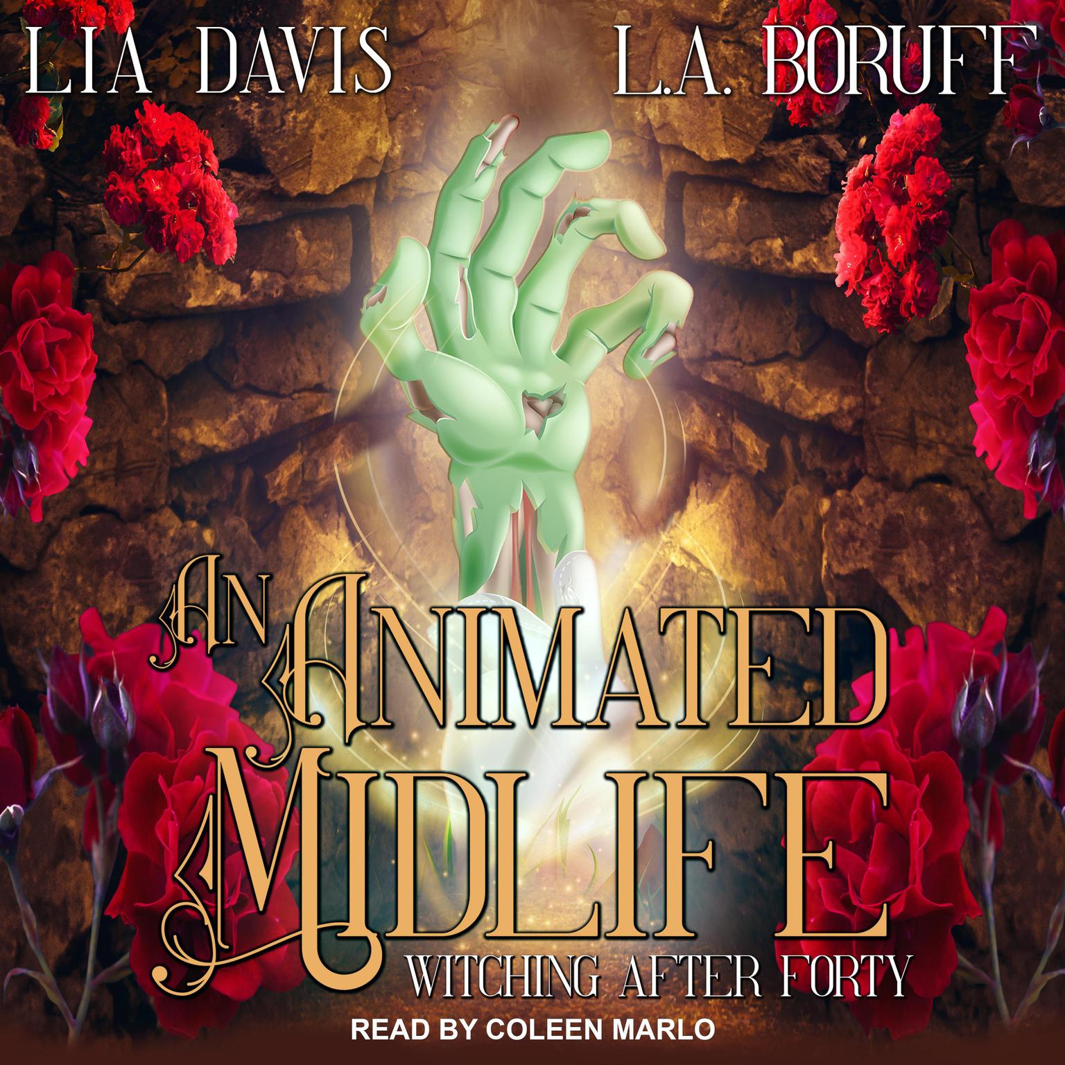 An Animated Midlife Audiobook, by Lia Davis