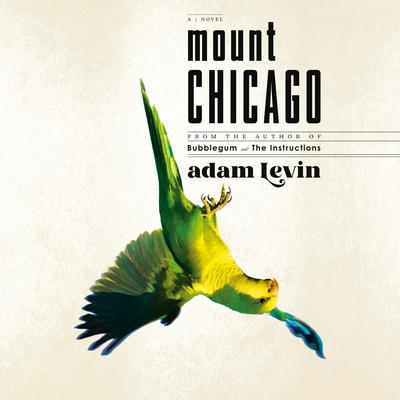 Mount Chicago: A Novel Audiobook, by Adam Levin