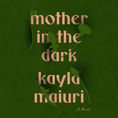 Mother In the Dark: A Novel Audiobook, by Kayla Maiuri
