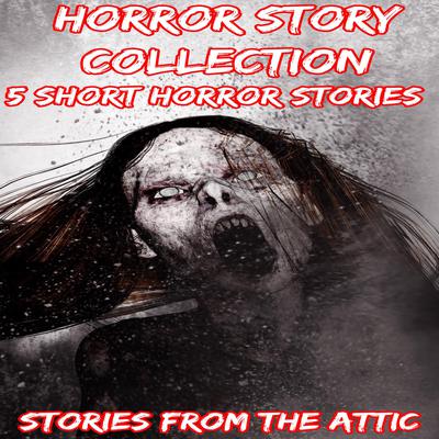 Horror Story Collection: 5 Short Horror Stories Audiobook, by Stories From The Attic