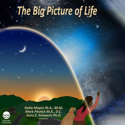 The Big Picture of Life Audiobook, by Katta Mapes