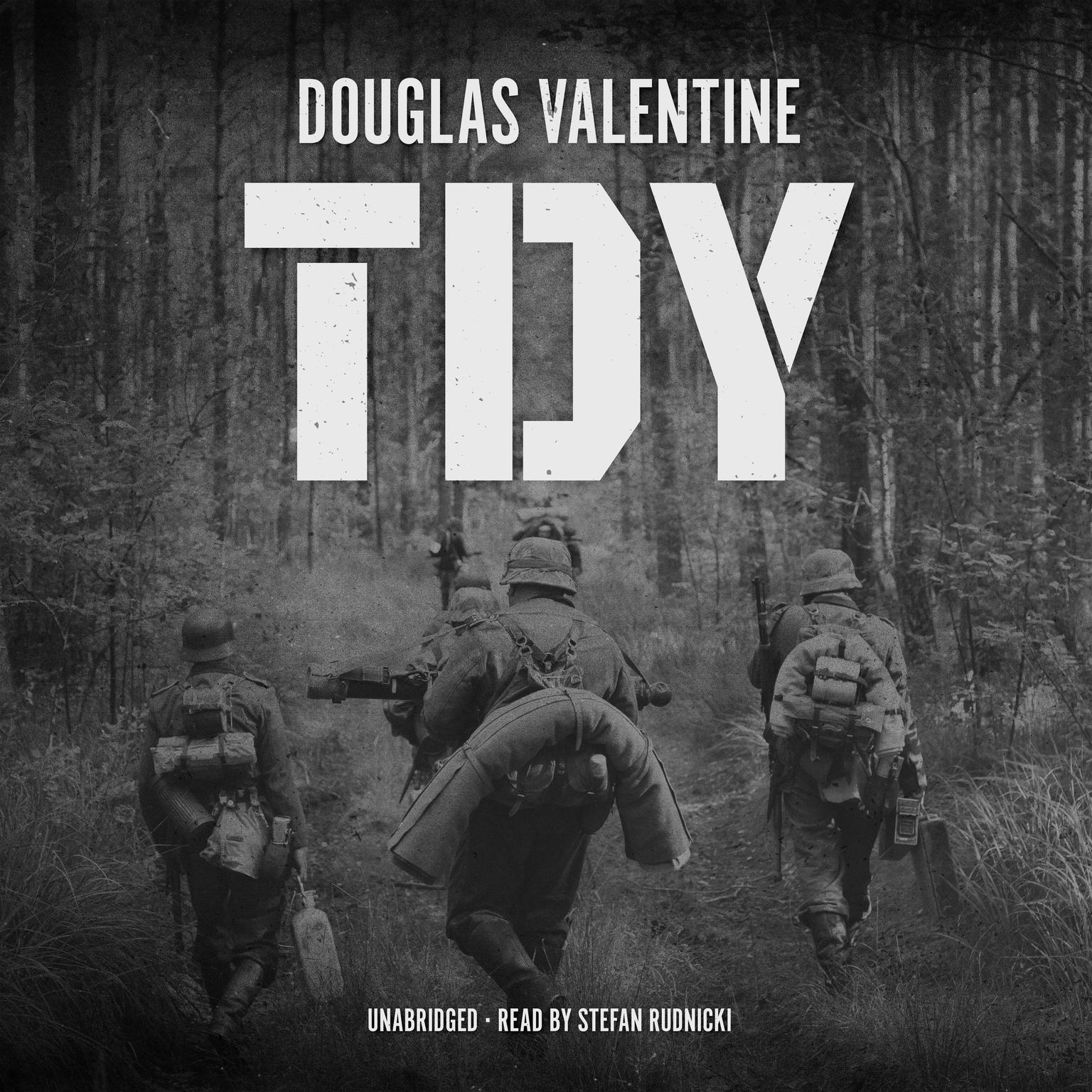 TDY Audiobook, by Douglas Valentine