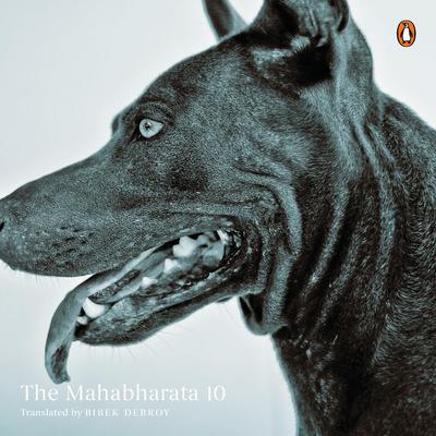 Mahabharata Vol 10 Audiobook, by 