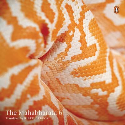 Mahabharata Vol 6 Audiobook, by Bibek Debroy
