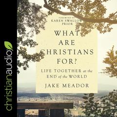 What Are Christians For?: Life Together at the End of the World Audiobook, by Jake Meador