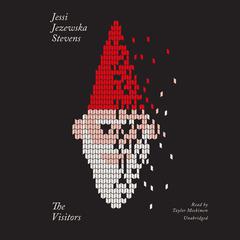 The Visitors Audiobook, by Jessi Jezewska Stevens
