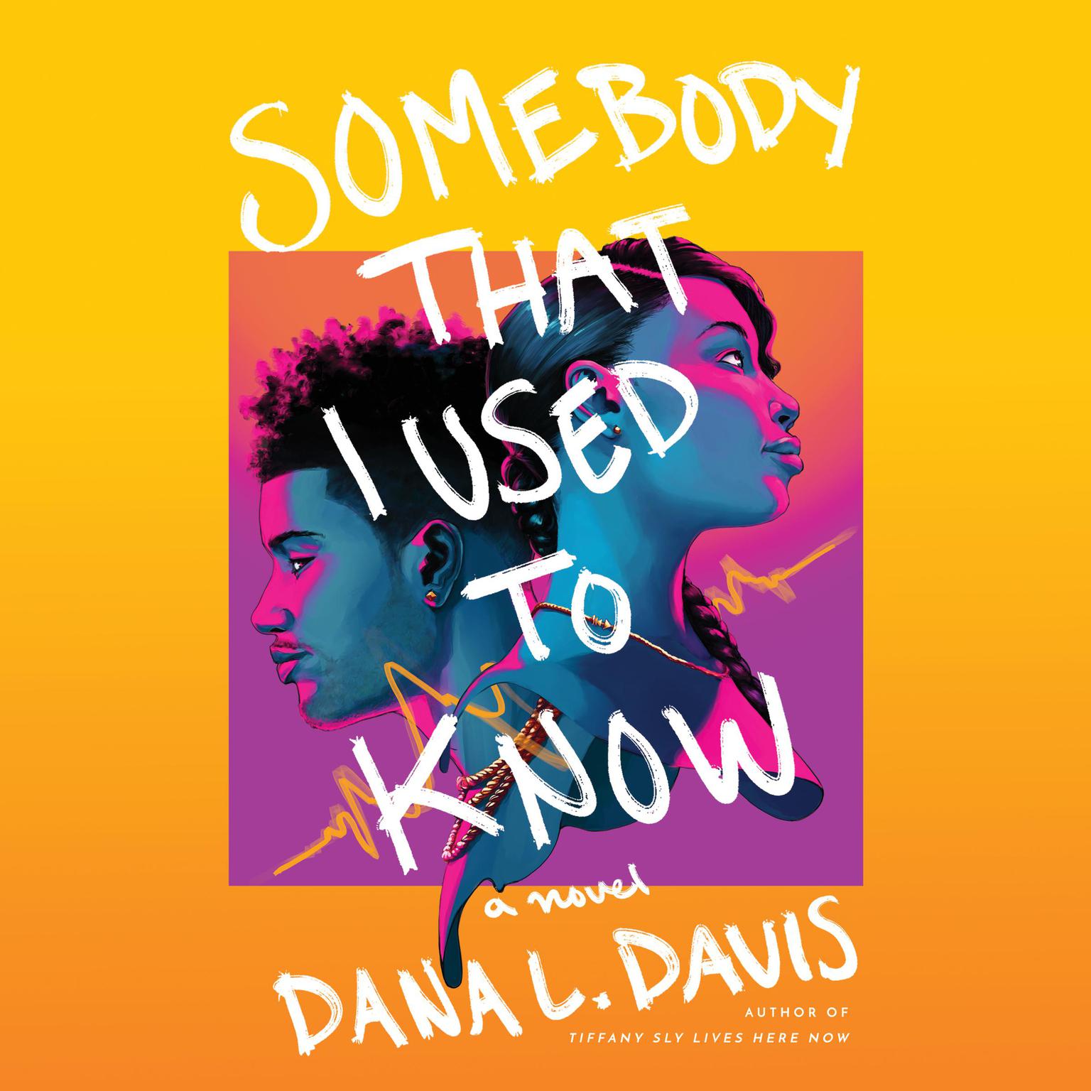 Somebody That I Used to Know: A Novel Audiobook, by Dana L. Davis