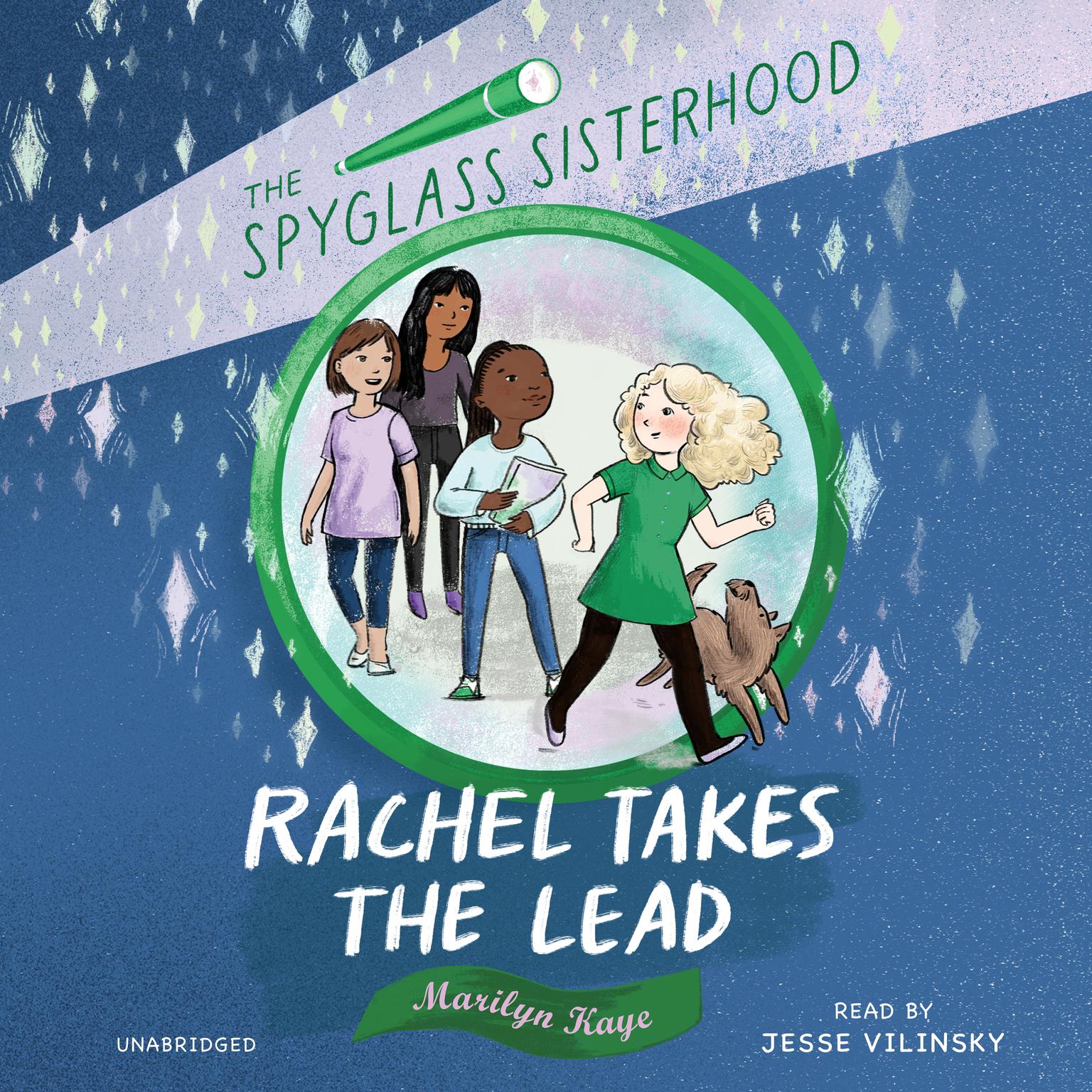 Rachel Takes the Lead Audiobook, by Marilyn Kaye
