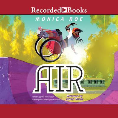 Air Audiobook, by Monica Roe