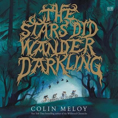 The Stars Did Wander Darkling Audiobook, by Colin Meloy