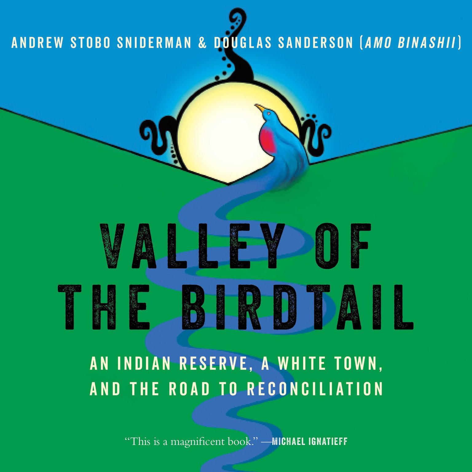 Valley of the Birdtail: An Indian Reserve, a White Town, and the Road to Reconciliation Audiobook, by Andrew Stobo Sniderman